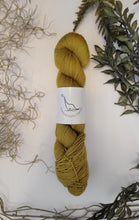 Load image into Gallery viewer, Silvi Sport { In Stock }