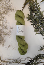 Load image into Gallery viewer, Silvi Sport { In Stock }