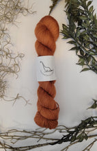 Load image into Gallery viewer, Silvi Sport { In Stock }