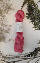 Load image into Gallery viewer, Silvi Sport { In Stock }