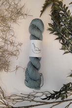 Load image into Gallery viewer, Silvi Sport { In Stock }