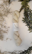 Load image into Gallery viewer, Silvi Sport { In Stock }