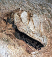 Load image into Gallery viewer, Bone by Bone Countdown { Ships Early November }