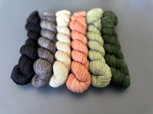 Load image into Gallery viewer, Mando Inspired Tonal Set {In Stock }