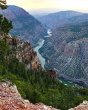 Load image into Gallery viewer, Bone by Bone Countdown { Ships Early November }