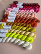 Load image into Gallery viewer, DK Mini Skein Bar Full Collection { In Stock }