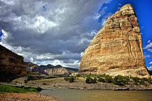 Load image into Gallery viewer, Bone by Bone Countdown { Ships Early November }