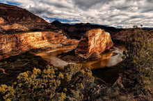 Load image into Gallery viewer, Bone by Bone Countdown { Ships Early November }