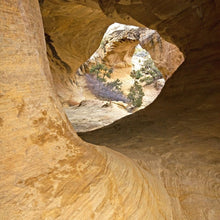 Load image into Gallery viewer, Bone by Bone Countdown { Ships Early November }