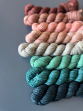 Load image into Gallery viewer, Prehistoric Beach Tonal Set { In Stock }