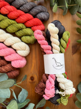 Load image into Gallery viewer, Seattle Doodle Set { In Stock } Sale