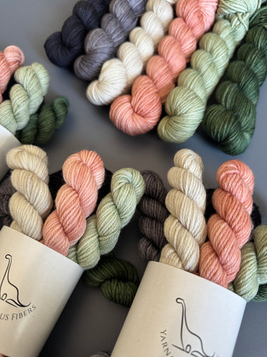 Mando Inspired Tonal Set {In Stock }
