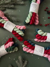 Load image into Gallery viewer, Winter Wishes Mini Set { In Stock }