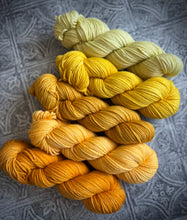 Load image into Gallery viewer, 2026 Color Club Yarn Club { Monthly Option }