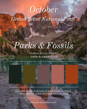 Load image into Gallery viewer, Parks &amp; Fossils Tonal Yarn &amp; Fiber Club { Monthly Option }