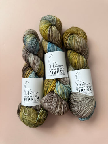 Dinosaur National Monument { In Stock }