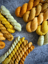 Load image into Gallery viewer, 2026 Color Club Yarn Club { Monthly Option }