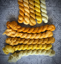Load image into Gallery viewer, 2026 Color Club Yarn Club { Monthly Option }