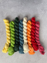 Load image into Gallery viewer, Yarns We Meet on Vacation Tonal Set { Preorder }