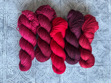 Load image into Gallery viewer, February 2026 Color Club Club Extras { In Stock }