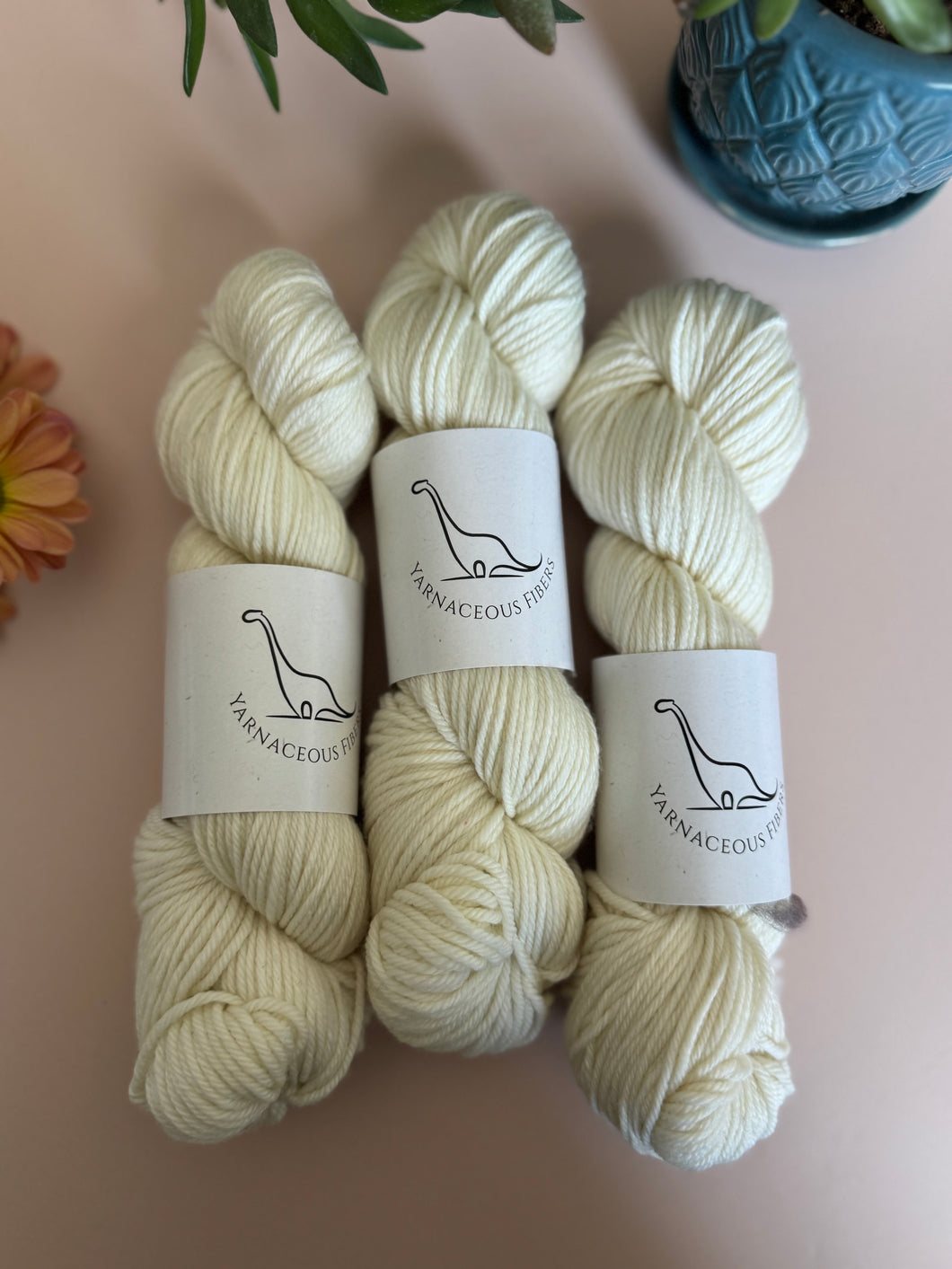 Frost - Cerato Worsted { In Stock }