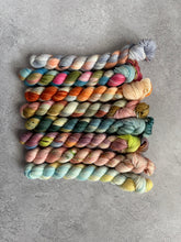 Load image into Gallery viewer, Yarns We Meet on Vacation Variegated Set { Preorder }