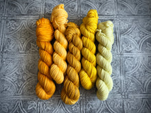Load image into Gallery viewer, 2026 Color Club Yarn Club { Monthly Option }