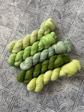 Load image into Gallery viewer, 2026 Color Club Yarn Club { Monthly Option }