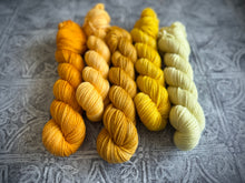 Load image into Gallery viewer, 2026 Color Club Yarn Club { Monthly Option }