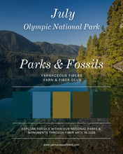 Load image into Gallery viewer, Parks &amp; Fossils Tonal Yarn &amp; Fiber Club { Monthly Option }