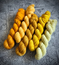 Load image into Gallery viewer, 2026 Color Club Yarn Club { Monthly Option }