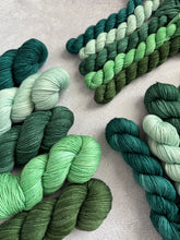 Load image into Gallery viewer, 2026 Color Club Yarn Club { Monthly Option }