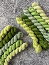 Load image into Gallery viewer, 2026 Color Club Yarn Club { Monthly Option }