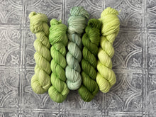 Load image into Gallery viewer, 2026 Color Club Yarn Club { Monthly Option }