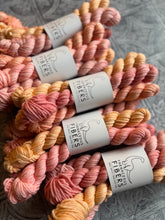 Load image into Gallery viewer, March 2026 Color Club Yarn Club Extras { In Stock }