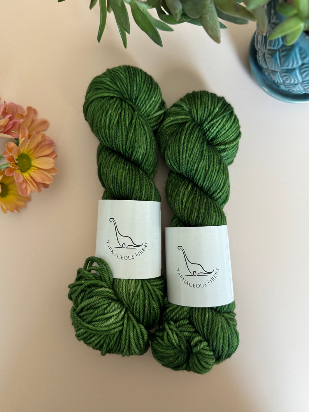 Elphaba - Cerato Worsted { In Stock }