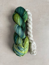 Load image into Gallery viewer, Chilton Study Hall + World of Books Sock Set - Stars Hollow { Dye to Order }