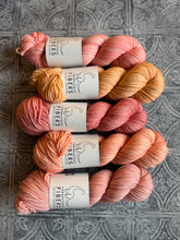 Load image into Gallery viewer, March 2026 Color Club Yarn Club Extras { In Stock }