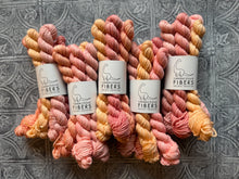 Load image into Gallery viewer, March 2026 Color Club Yarn Club Extras { In Stock }