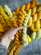 Load image into Gallery viewer, 2026 Color Club Yarn Club { Monthly Option }