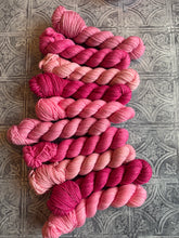 Load image into Gallery viewer, 2026 Color Club Yarn Club { Monthly Option }