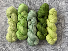 Load image into Gallery viewer, 2026 Color Club Yarn Club { Monthly Option }