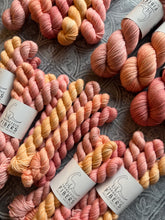 Load image into Gallery viewer, March 2026 Color Club Yarn Club Extras { In Stock }
