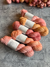 Load image into Gallery viewer, March 2026 Color Club Yarn Club Extras { In Stock }