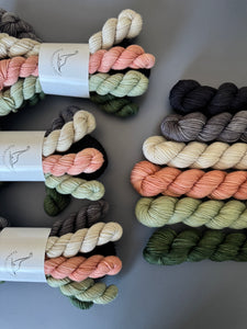 Mando Inspired Tonal Set {In Stock }