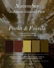 Load image into Gallery viewer, Parks &amp; Fossils Tonal Yarn &amp; Fiber Club { Monthly Option }
