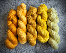 Load image into Gallery viewer, 2026 Color Club Yarn Club { Monthly Option }