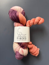 Load image into Gallery viewer, Tattooine Sock Set { In Stock }