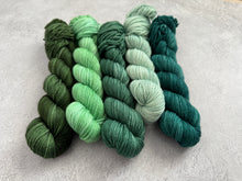 Load image into Gallery viewer, 2026 Color Club Yarn Club { Monthly Option }