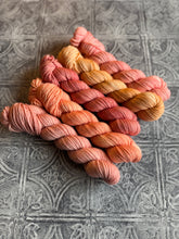 Load image into Gallery viewer, March 2026 Color Club Yarn Club Extras { In Stock }